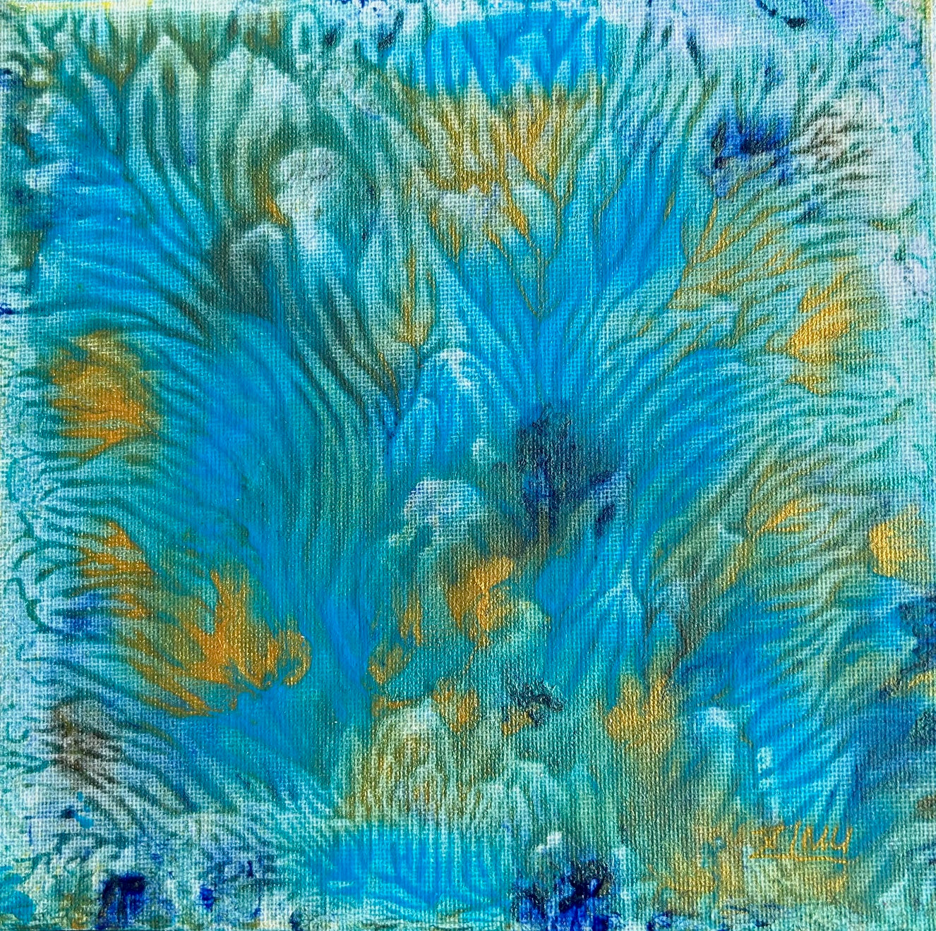 IL